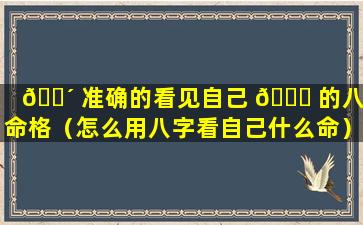 🐴 准确的看见自己 🕊 的八字命格（怎么用八字看自己什么命）